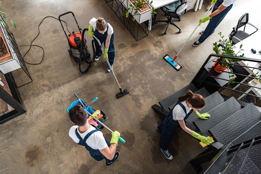Kontakt – Maya Bee Cleaning Chrzanów